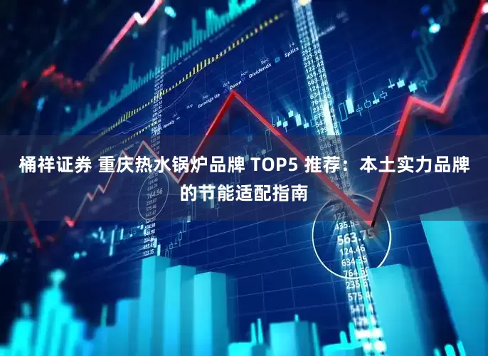 桶祥证券 重庆热水锅炉品牌 TOP5 推荐：本土实力品牌的节能适配指南